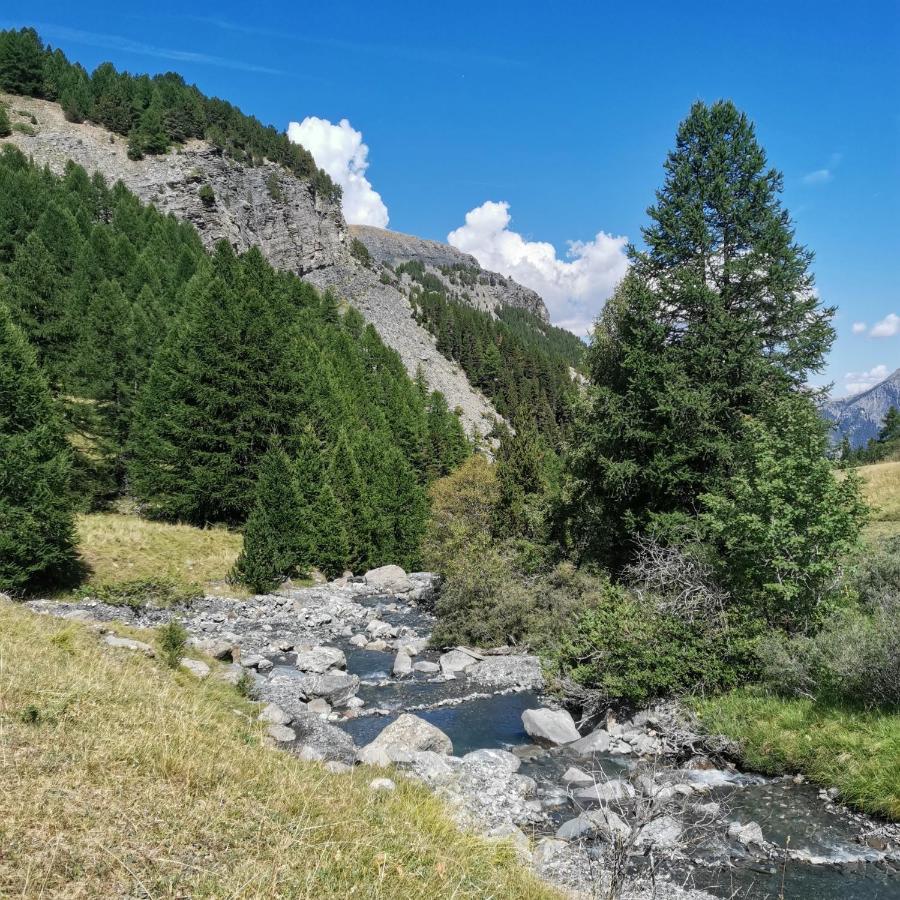 Appartement Pied Des Pistes Super Sauze Enchastrayes ภายนอก รูปภาพ