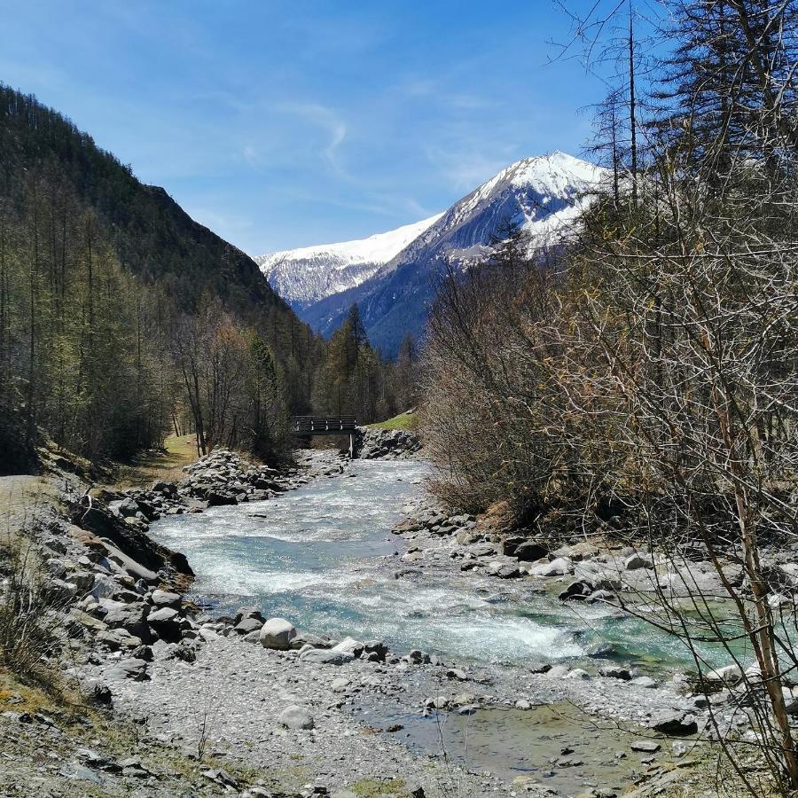 Appartement Pied Des Pistes Super Sauze Enchastrayes ภายนอก รูปภาพ