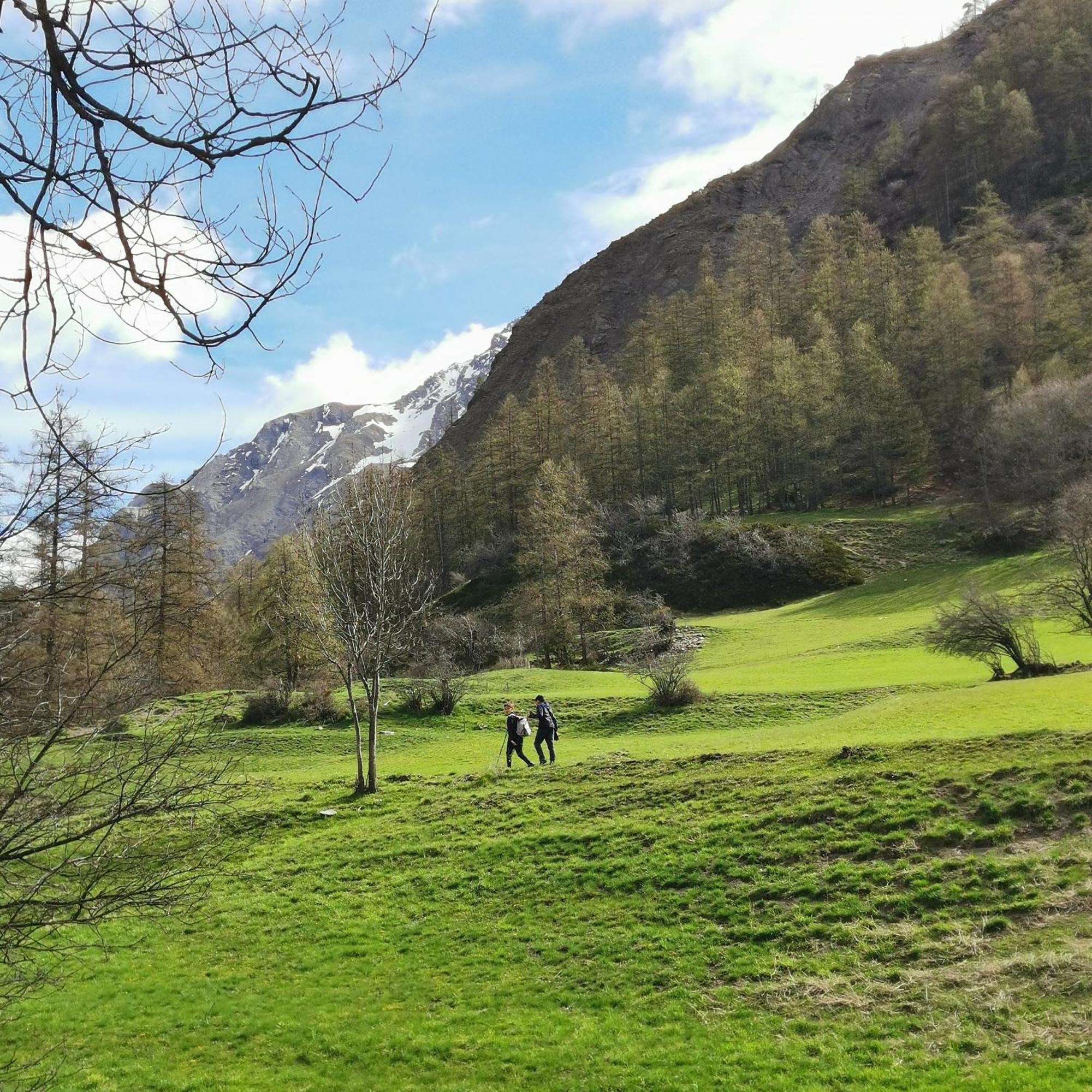 Appartement Pied Des Pistes Super Sauze Enchastrayes ภายนอก รูปภาพ